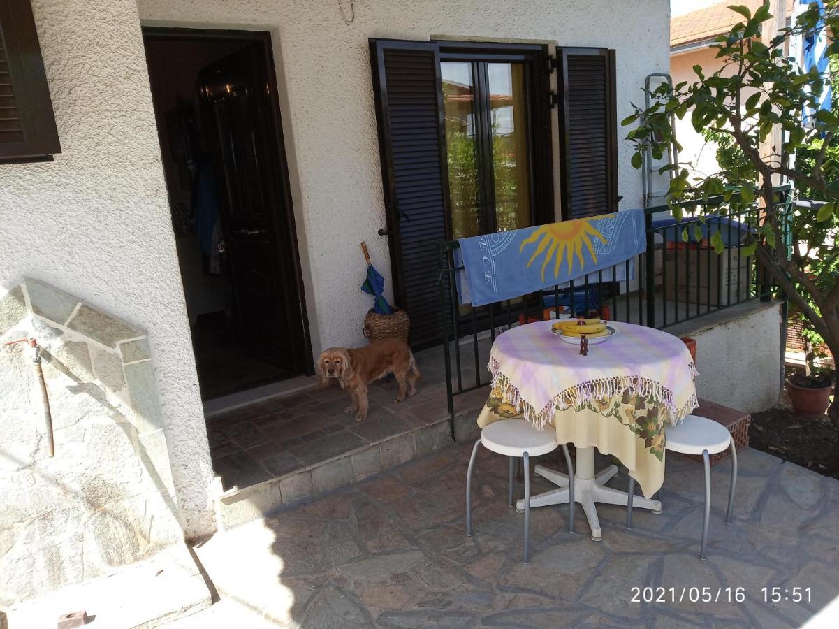 Sea View Dilesi Dhílesi Exterior foto
